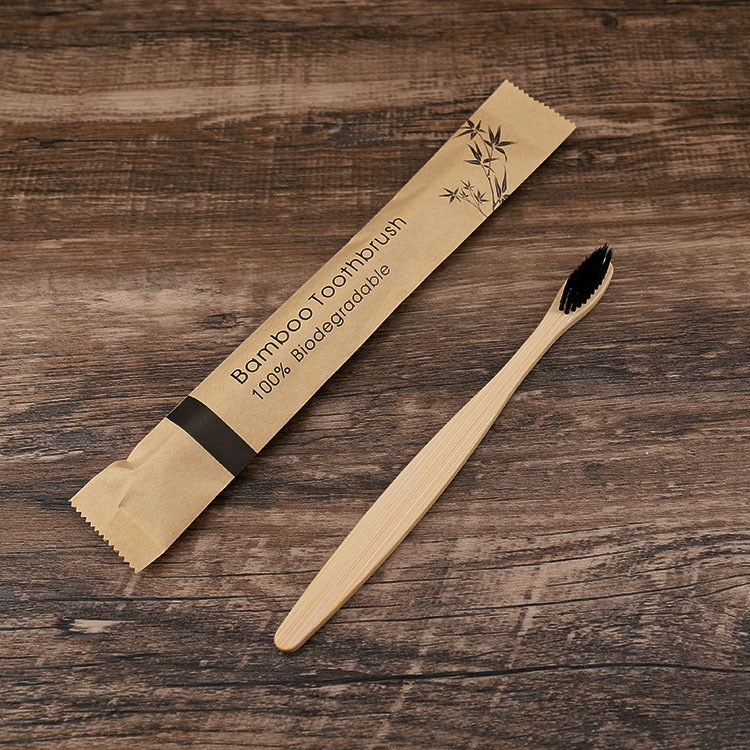 Biodegradable Bamboo Toothbrush Set of 10