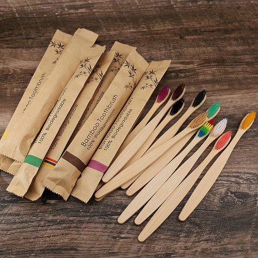 Biodegradable Bamboo Toothbrush Set of 10