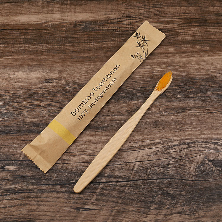 Biodegradable Bamboo Toothbrush Set of 10