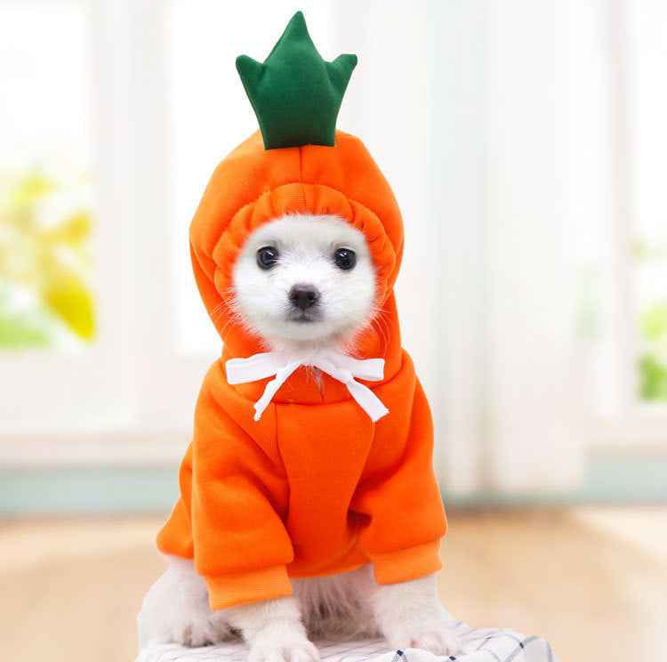 Dog Autumn And Winter Pet Clothing