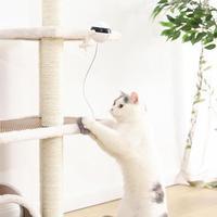 Interactive Cat Toy Electronic Motion