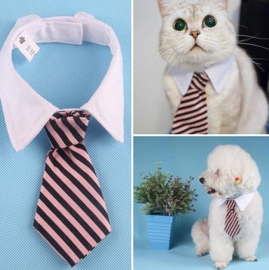 Pet Bow Ties