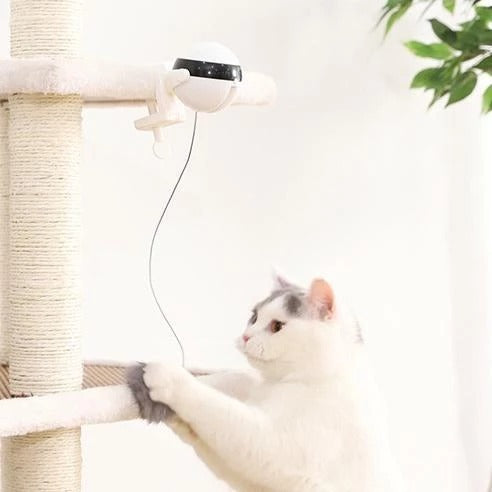 Interactive Cat Toy Electronic Motion