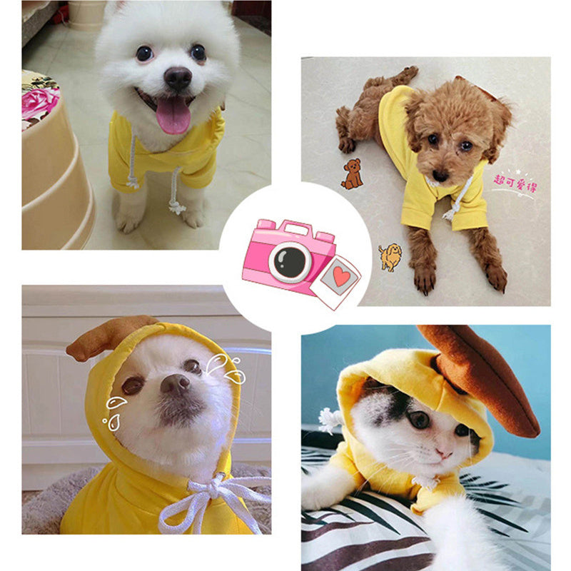 Dog Autumn And Winter Pet Clothing